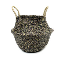 The Hola Basket