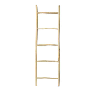 The Tulum Ladder