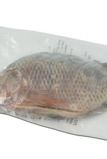Tilapia 500/800 price/fish