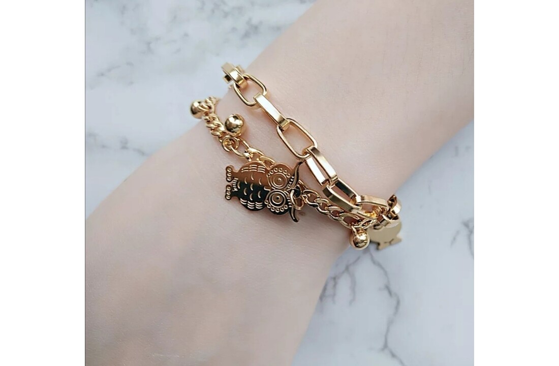 Dubbel laags rvs bedelarmband met uiltjes