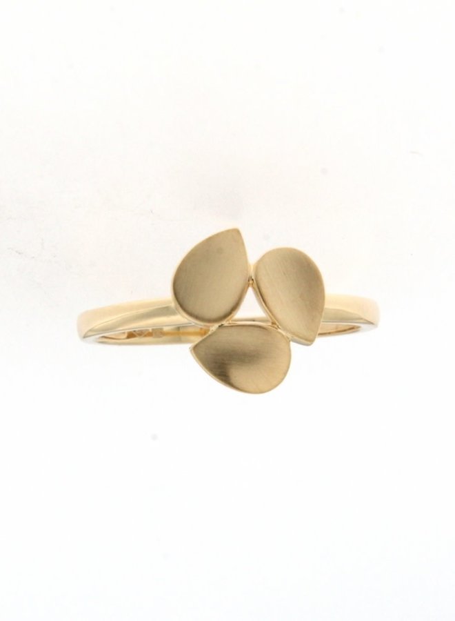 Ring Goud 18kt 066680