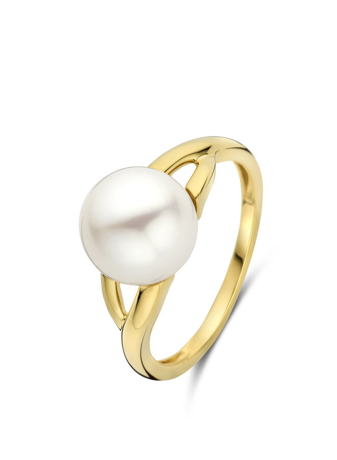 Ring Goud 18kt  067326/P