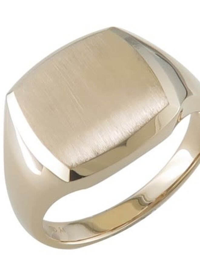 Ring 18kt goud JA4818 Herenring
