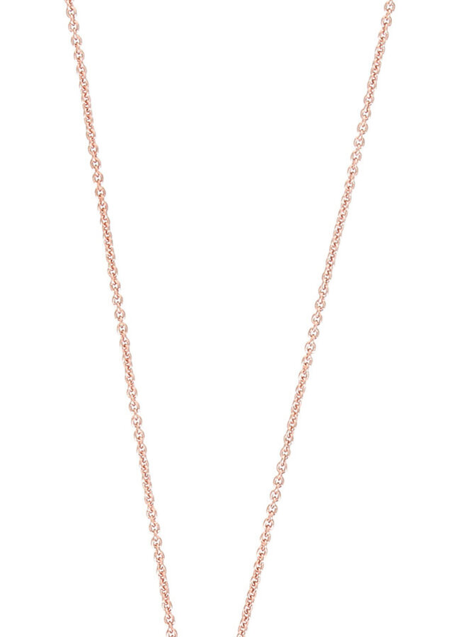 Pesavento WPLVE2973 Ketting
