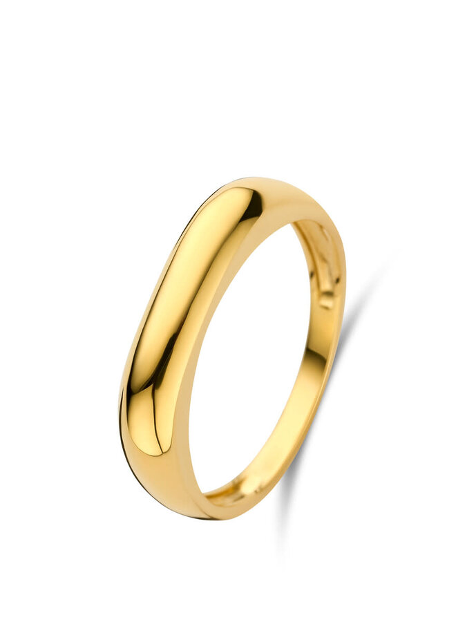 Ring 18kt Goud  068240