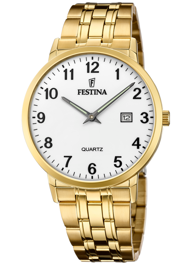 Festina F20513/1