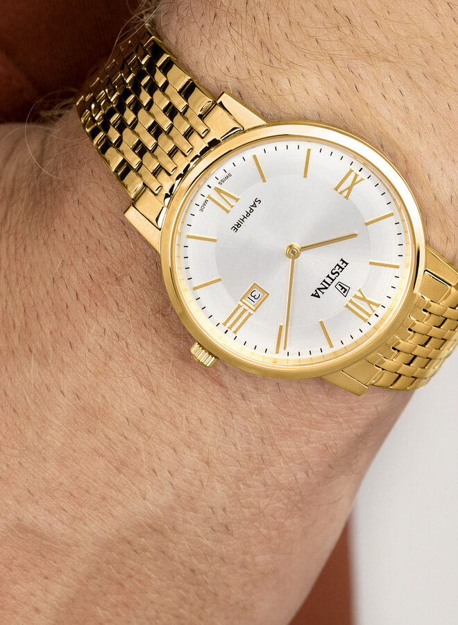 Festina Swiss Made F20020/1