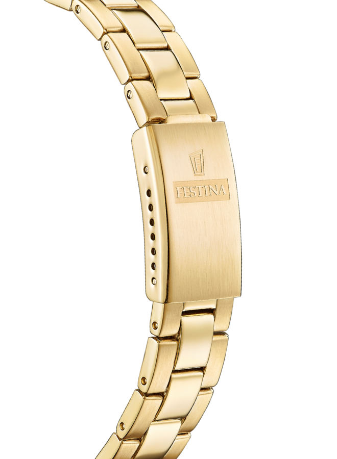 Festina Swiss Made F20050/1