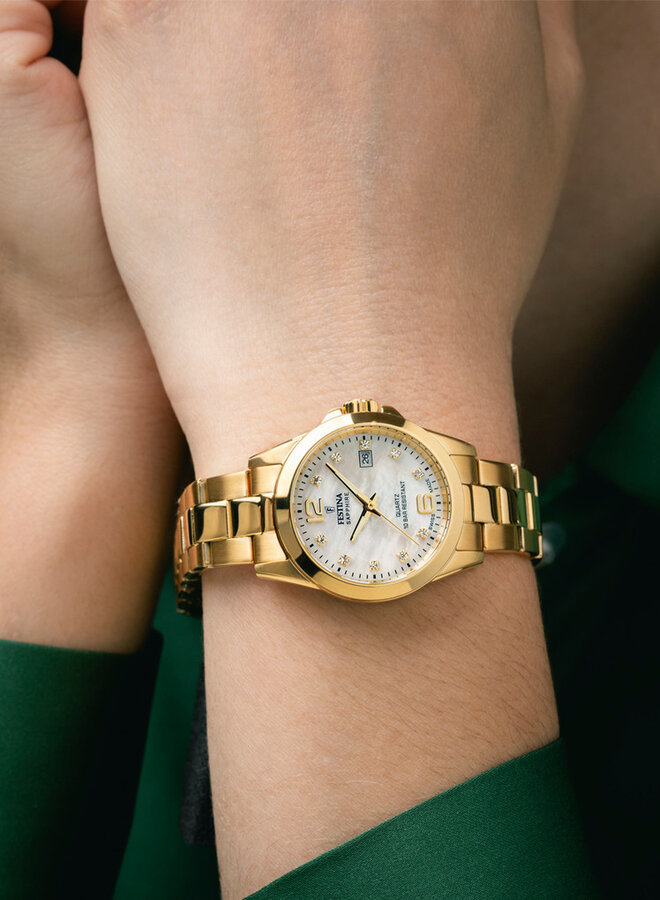 Festina Swiss Made F20050/1