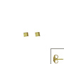 Oorstekers Goud 18kt  033890