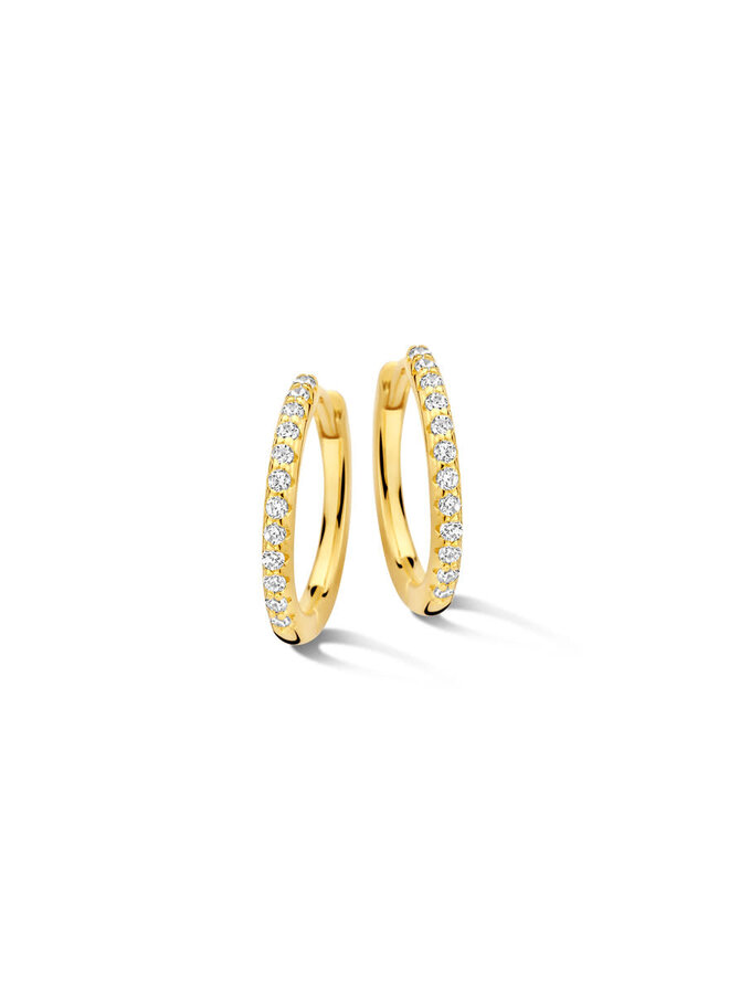 Naiomy Zilver N5E72 Oorstekers