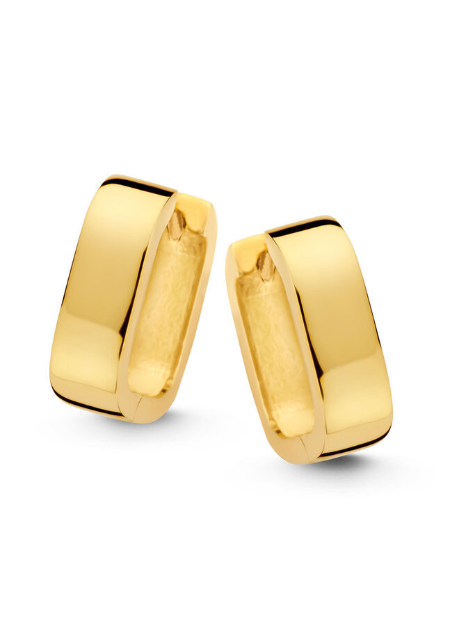 Zilver N4I74 Oorstekers