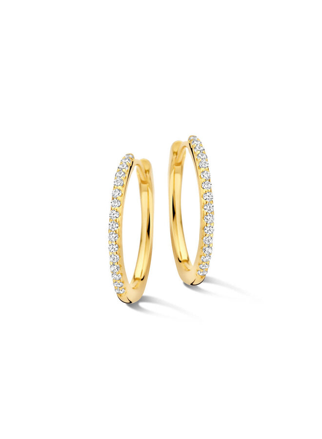 Zilver N5E73 Oorstekers