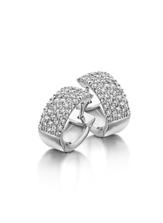 Naiomy Zilver N3A08 Oostekers