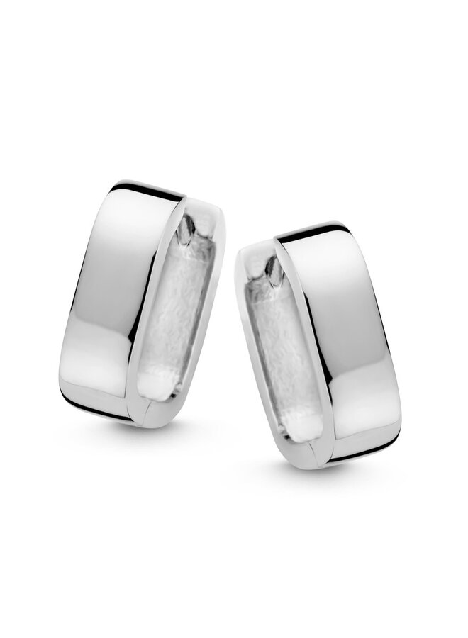 Naiomy Zilver N4I68 Oorstekers