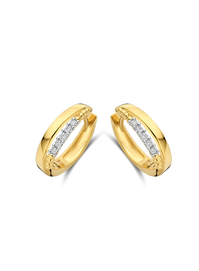 Oorstekers 18kt Goud 070196/A