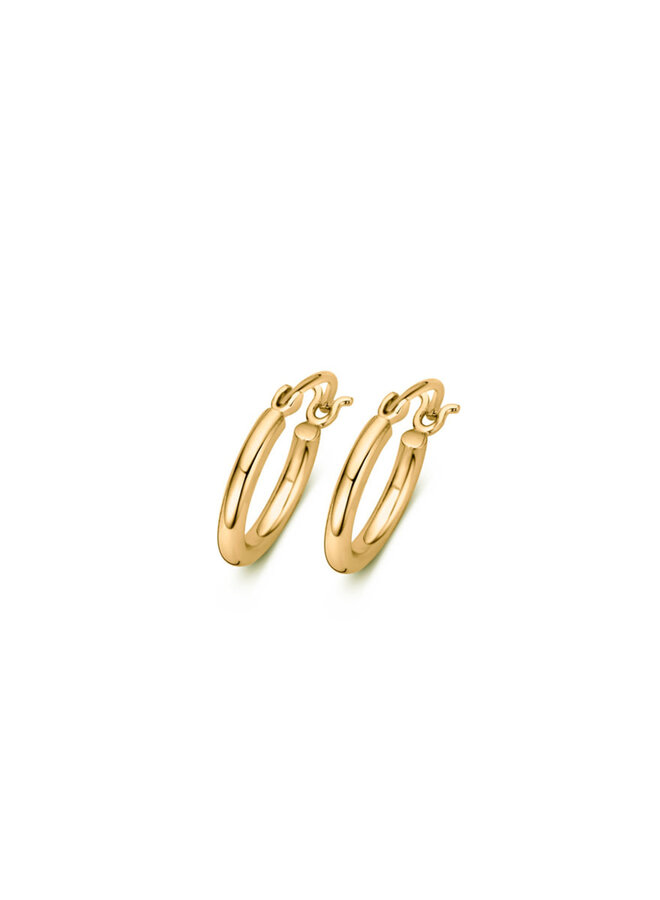 Naiomy Zilver B0Z01 Oorstekers