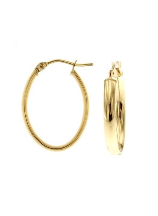 Oorstekers Goud 18kt B14B14022G