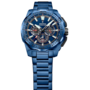 Festina F20729/1