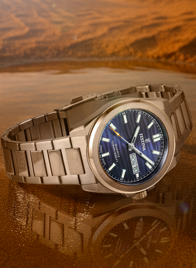 Festina Swiss Made F20073/2