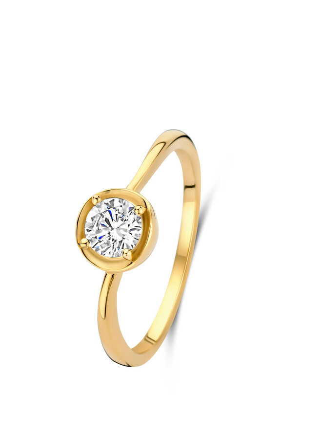 Naiomy Zilver N6F66 Ring Doublé