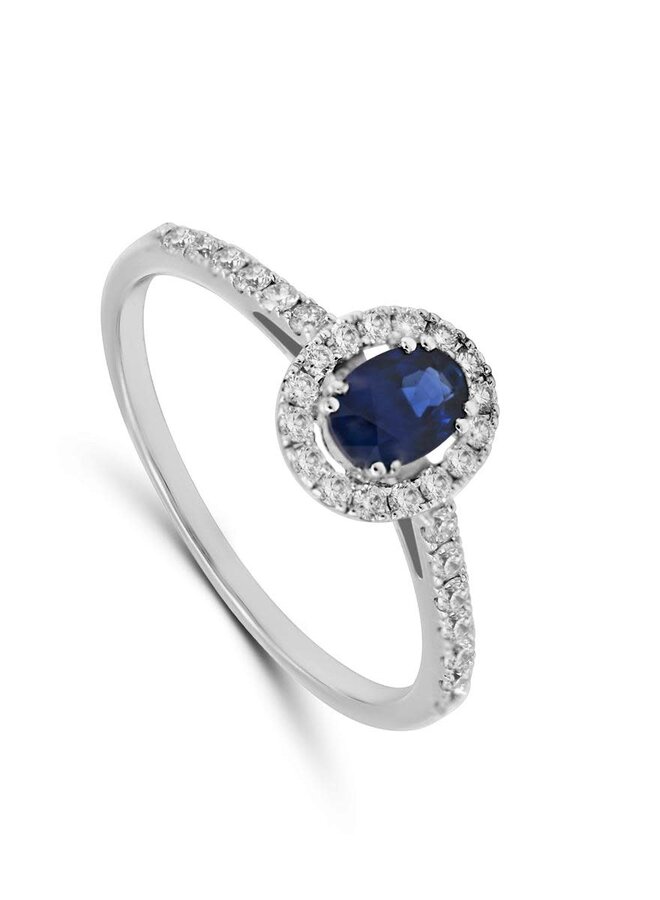 Ring Goud 18kt E10R0337W Saf 0.45Ct + 0.29Ct