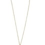 Pesavento WPSCE529 Ketting