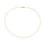 Pesavento WDNAG1090 Ketting