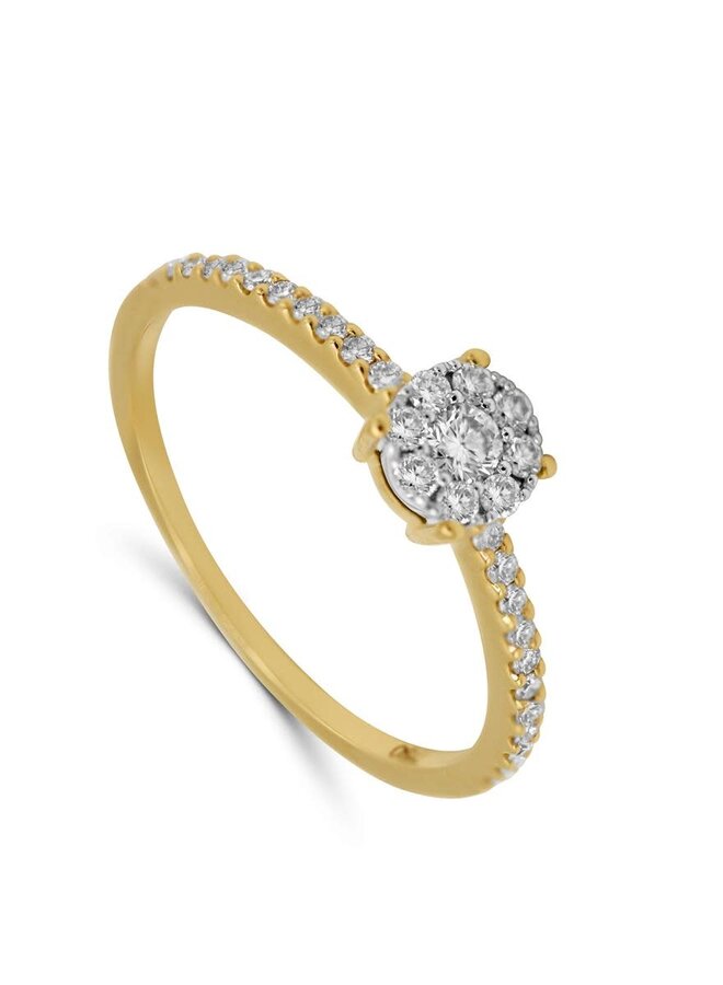 Ring Goud 18kt E10R0296B 0.31Ct