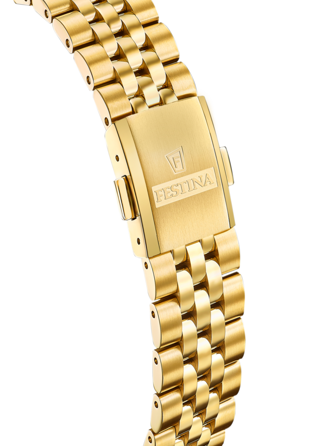 Festina Swiss Made F20089/1