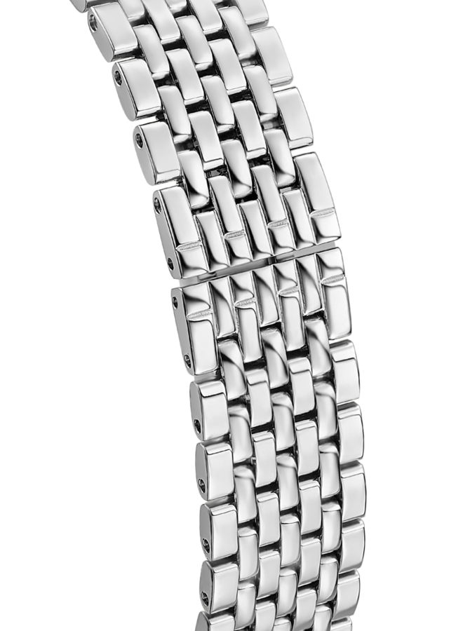 Festina Swiss Made F20096/5