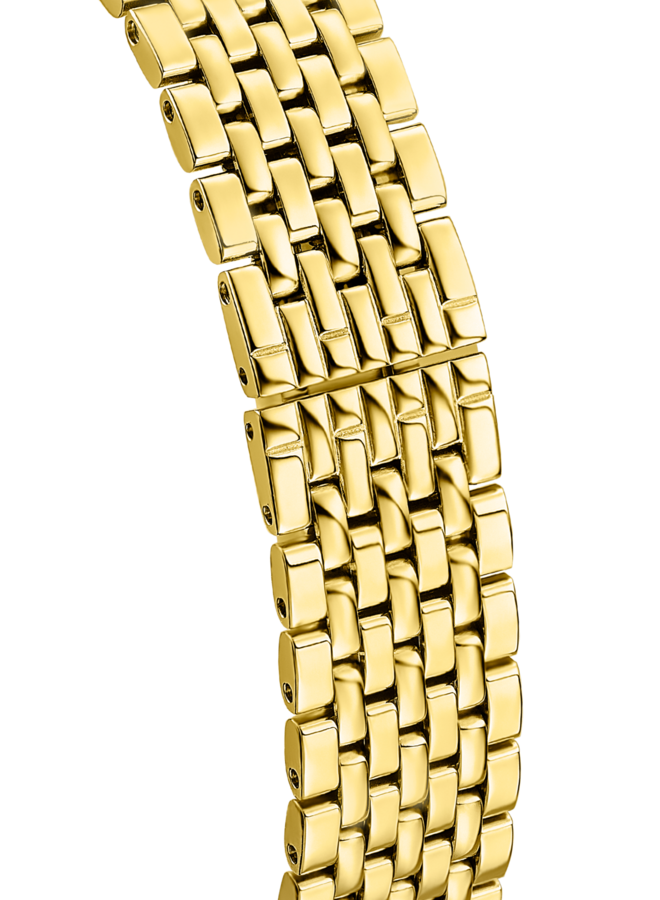 Festina Swiss Made F20098/3