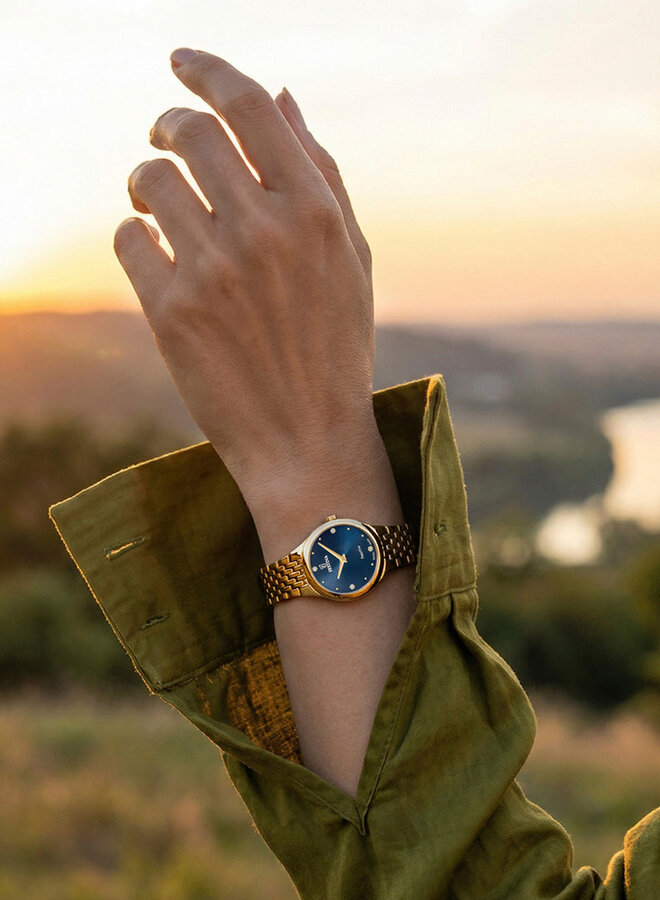 Festina Swiss Made F20098/3