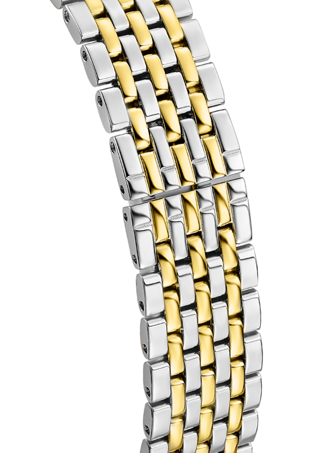 Festina Swiss Made F20097/2