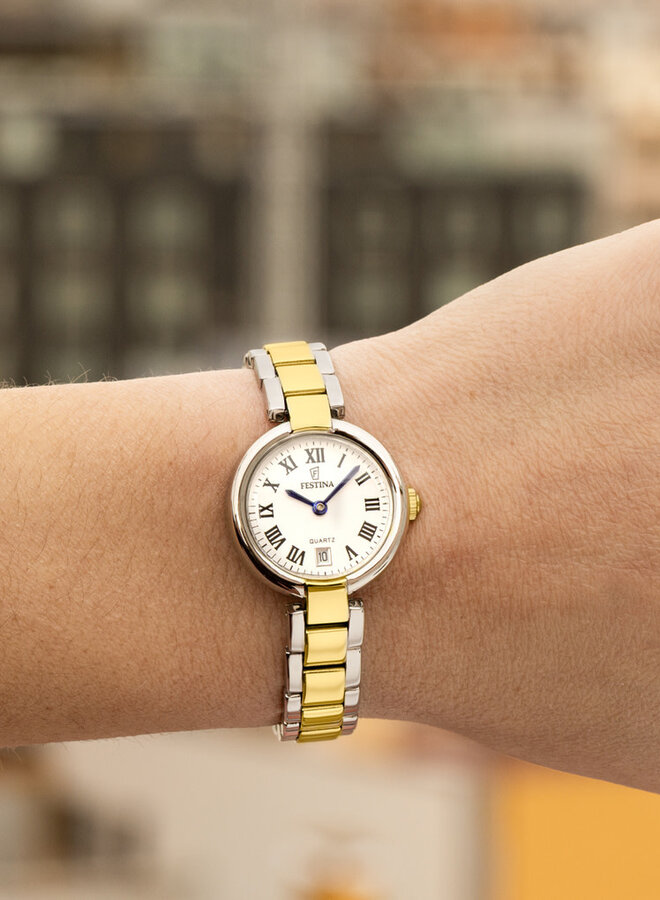Festina F20785/1
