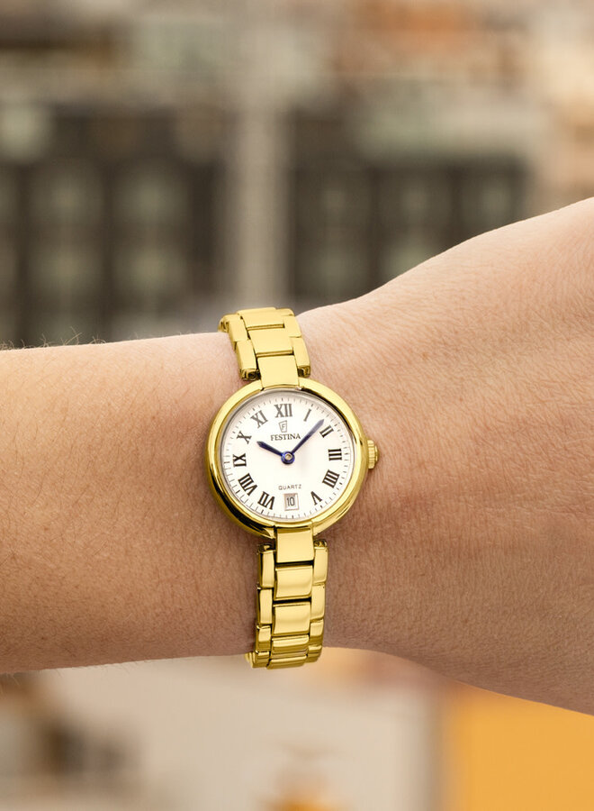 Festina F20786/1