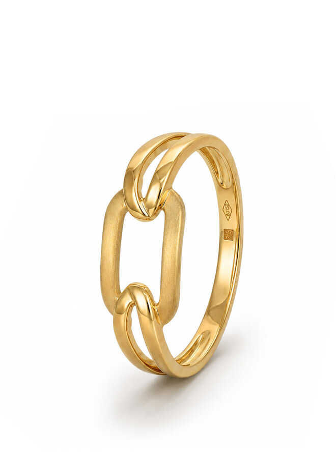 Ring Goud 18kt 071000