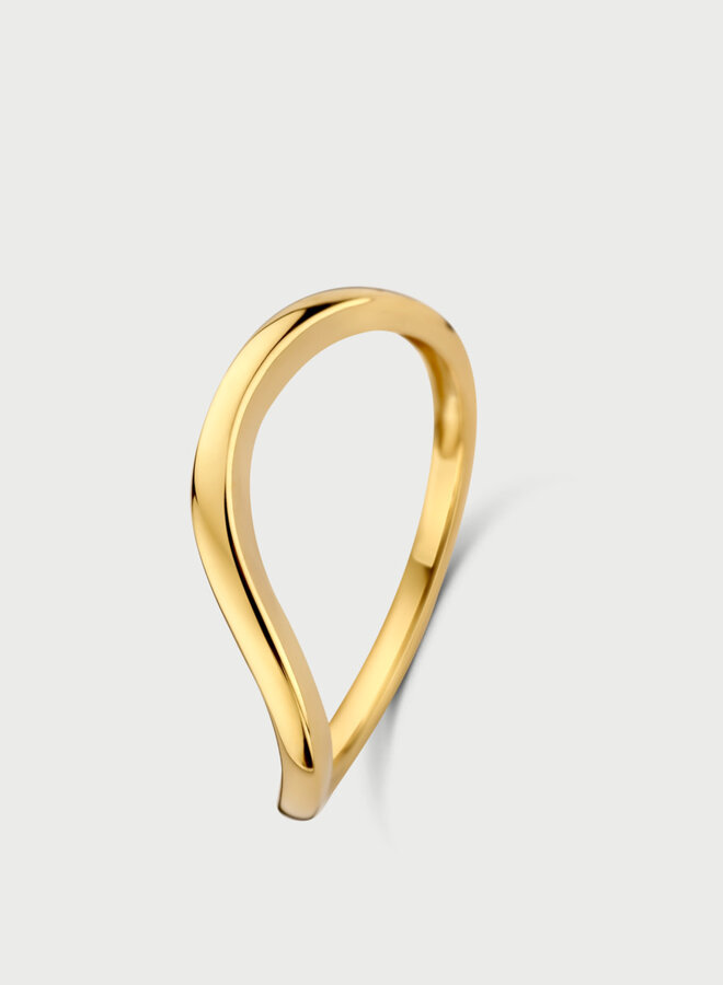 Mérité 14kt Goud MWR002 Ring