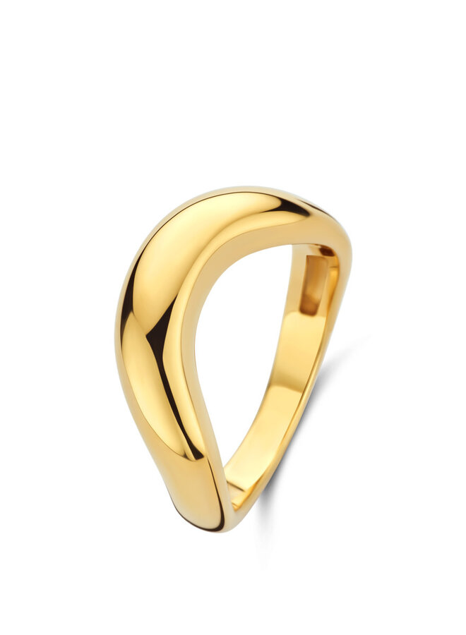 Ring  goud 18kt 071016