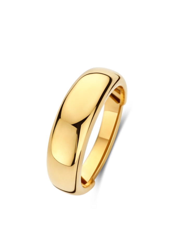 Ring  goud 18kt 071018