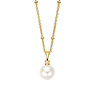 Naiomy Zilver N6T56 Ketting