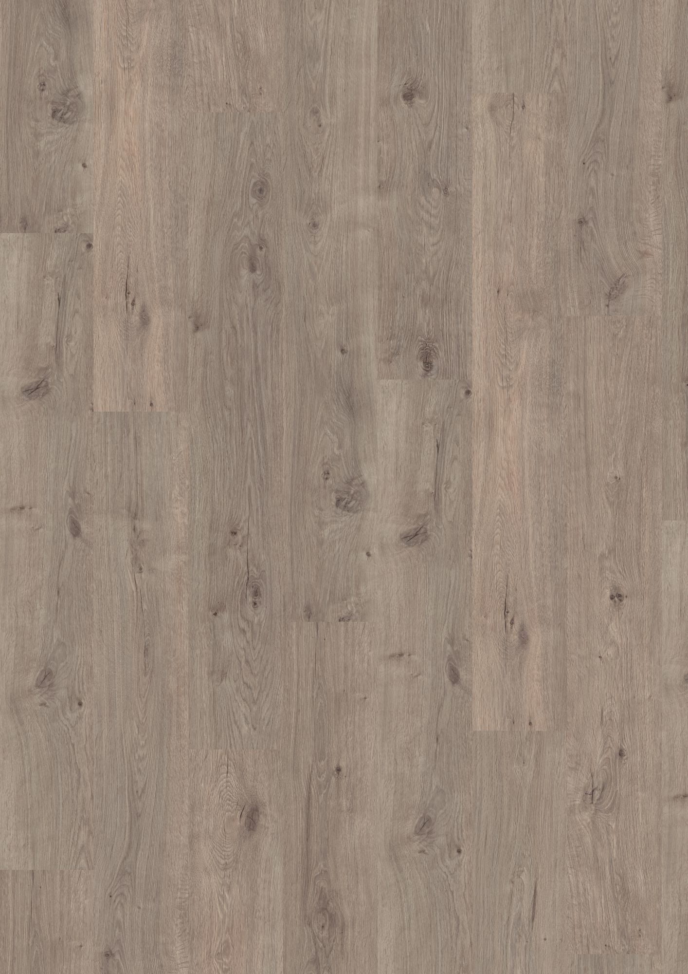 Laminaat Classic zonder-groef 8mm H2833 - EPL138 Omnipore Murom Oak Grey
