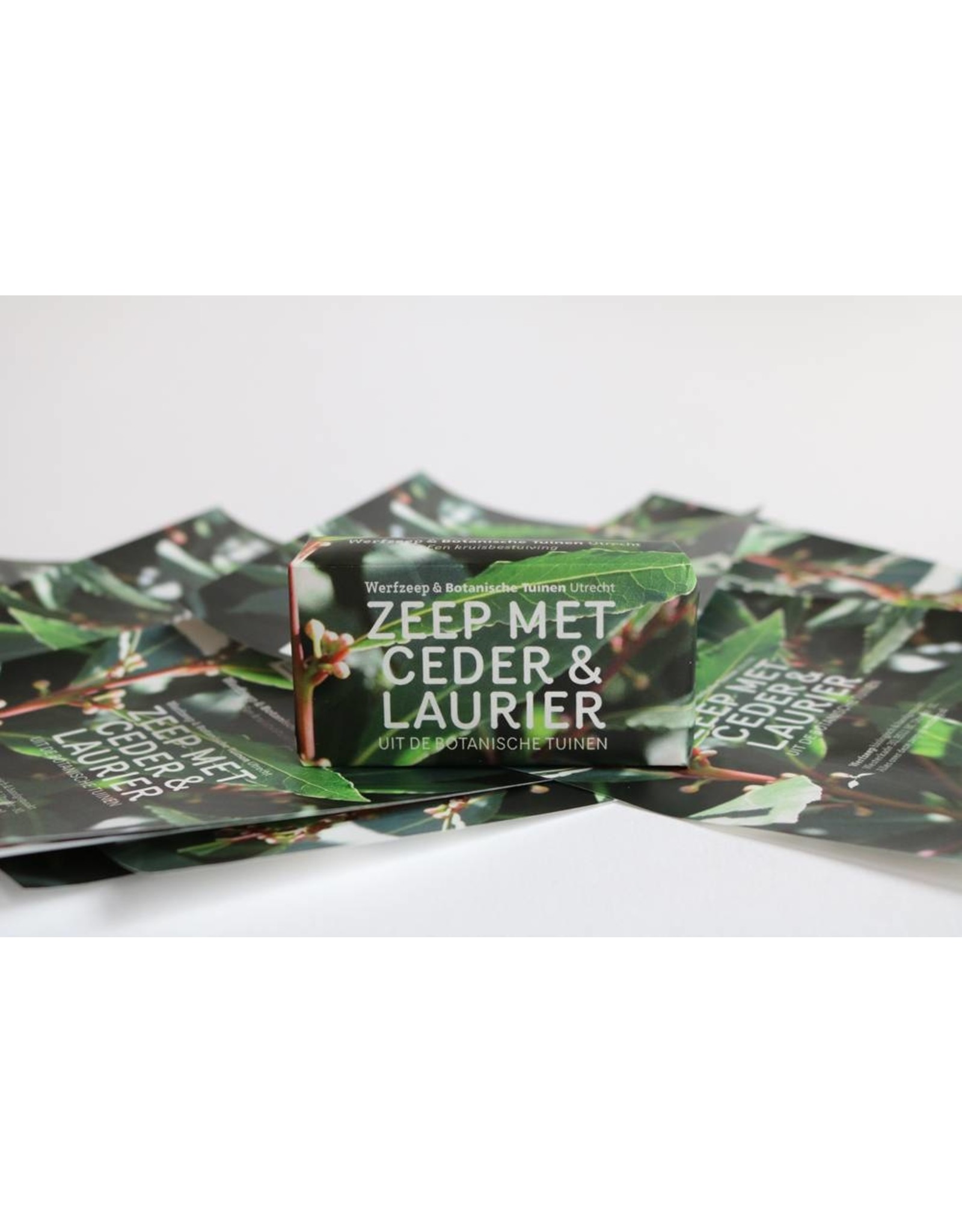 Werfzeep Botanische Tuinenzeep III - ceder & laurier