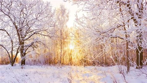 De kracht van de natuur is haar schoonheid