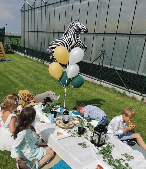 Folieballon: Zebra