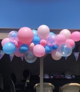Ballonnenboog: Gender reveal