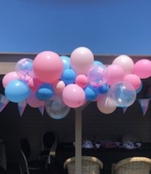 Ballonnenboog: Gender reveal
