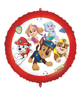 Ballonnenpost: Paw patrol