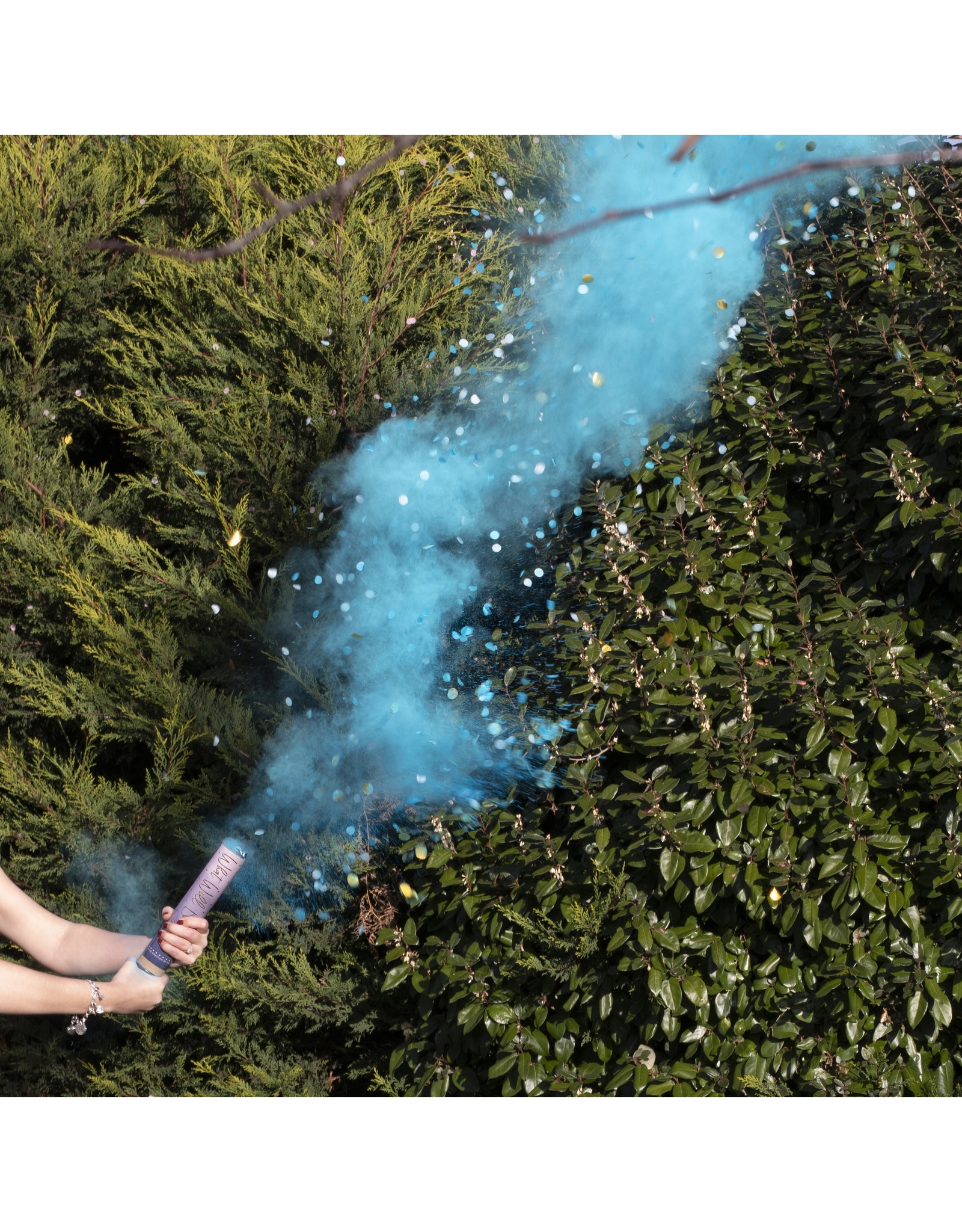 Rookkanon gender reveal | blauw