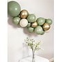 OPGEBLAZEN ballonnenboog: Cesar